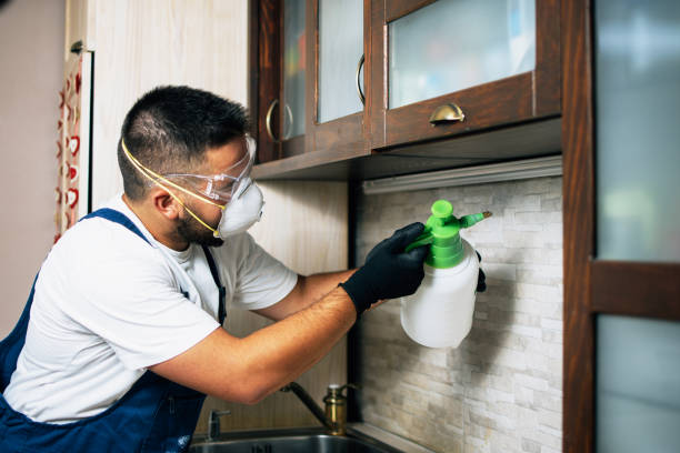 Best Pest Control Near Me  in University City, MO