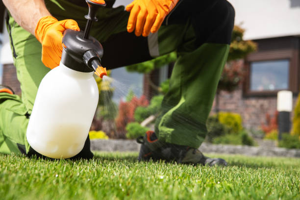 Best Pest Inspection Near Me  in University City, MO