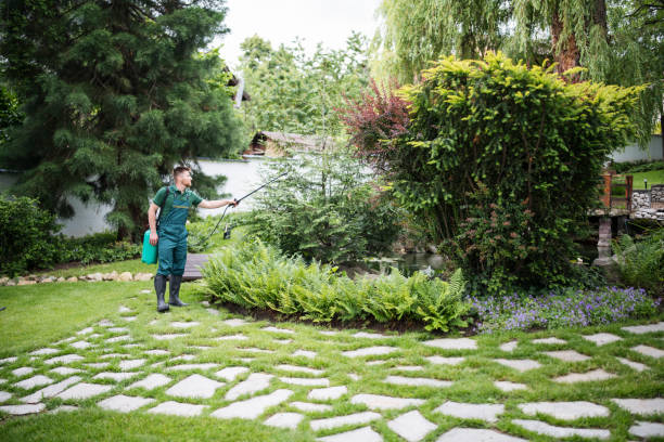 Best Affordable Pest Control Services  in University City, MO