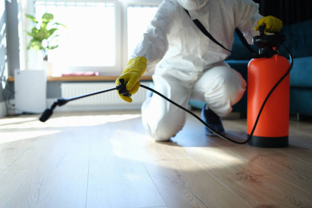 Best Pest Control Treatment  in University City, MO