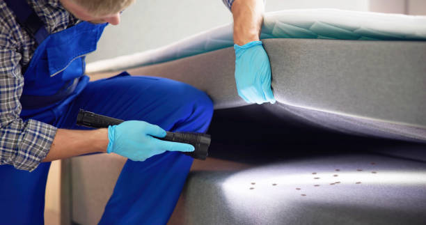 Best Pest Inspection Near Me  in University City, MO
