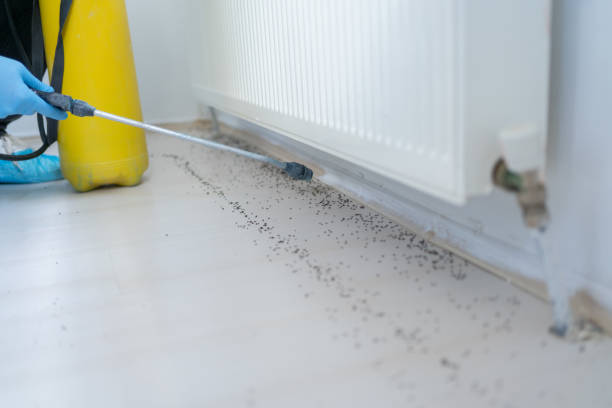  University City, MO Pest Control Pros